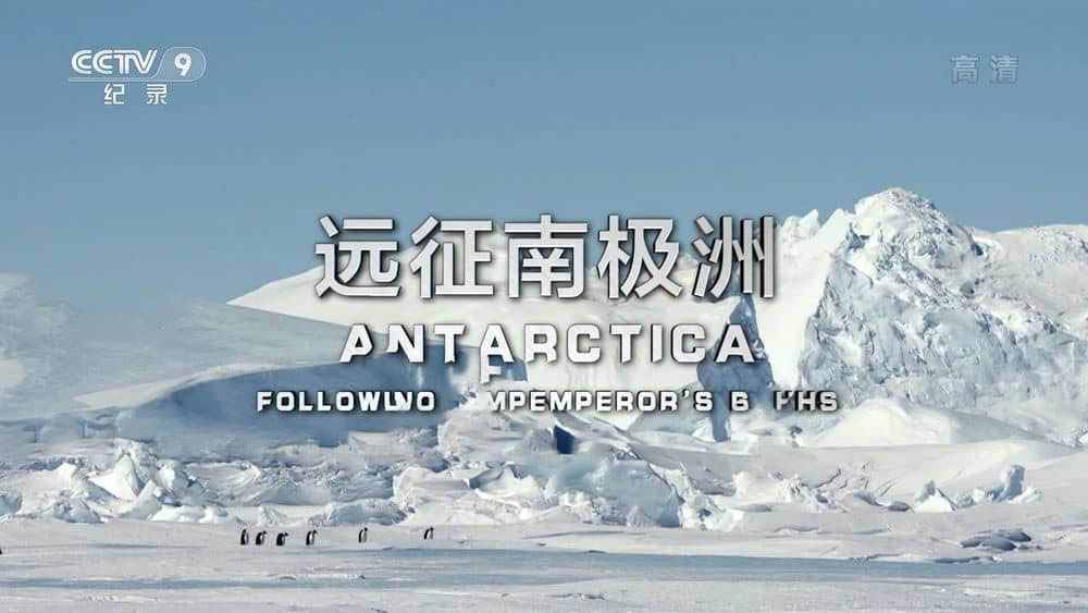 央视译制纪录电影《远征南极洲 Antarctica Following the Emperor's Paths》[中字][1080P][网盘][资源下载]