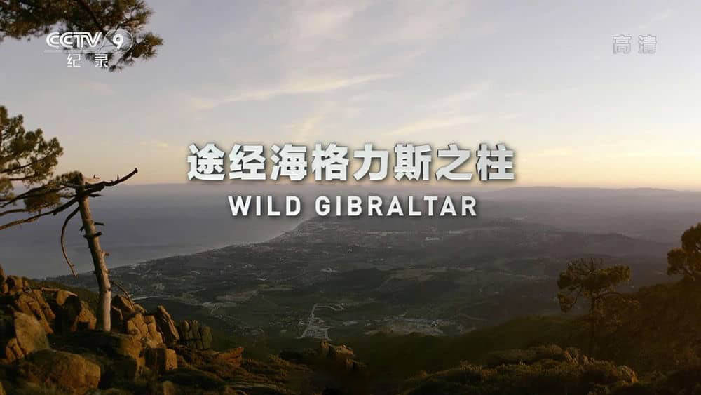 央视译制纪录片《途经海格力斯之柱 Wild Gibraltar》[全1集][中字][1080P][网盘][资源下载]