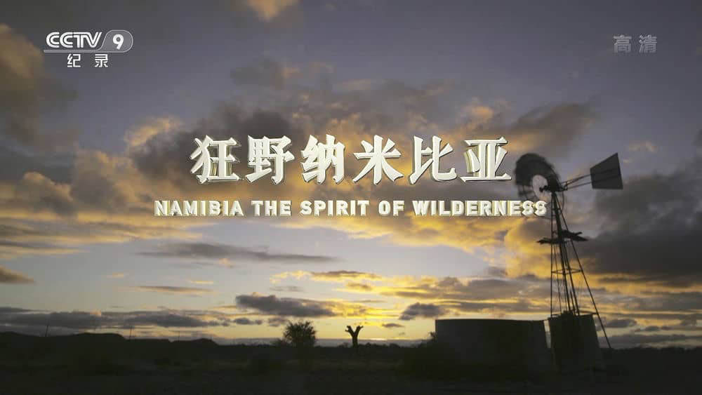 央视译制纪录片《狂野纳米比亚 Namibia - The Spirit of Wilderness》[全1集][中字][1080P][网盘][资源下载]