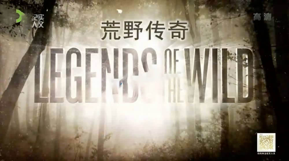 上海纪实频道纪录片《荒野传奇 Legends of The Wild》[全6集][中字][DVD画质][网盘][资源下载]