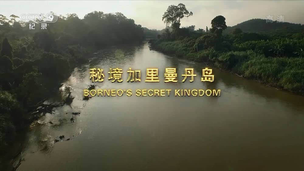 央视译制纪录片《秘境加里曼丹岛 Borneo's Secret Kingdom》[全3集][中字][1080P][网盘][资源下载]