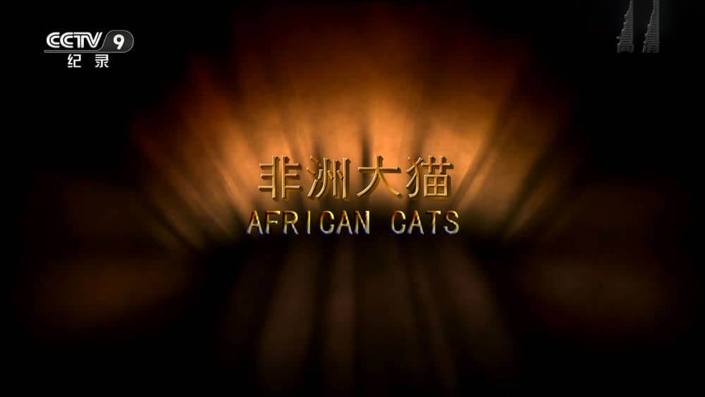 央视译制纪录电影《非洲大猫 African Cats》[中字][1080P][网盘][资源下载]