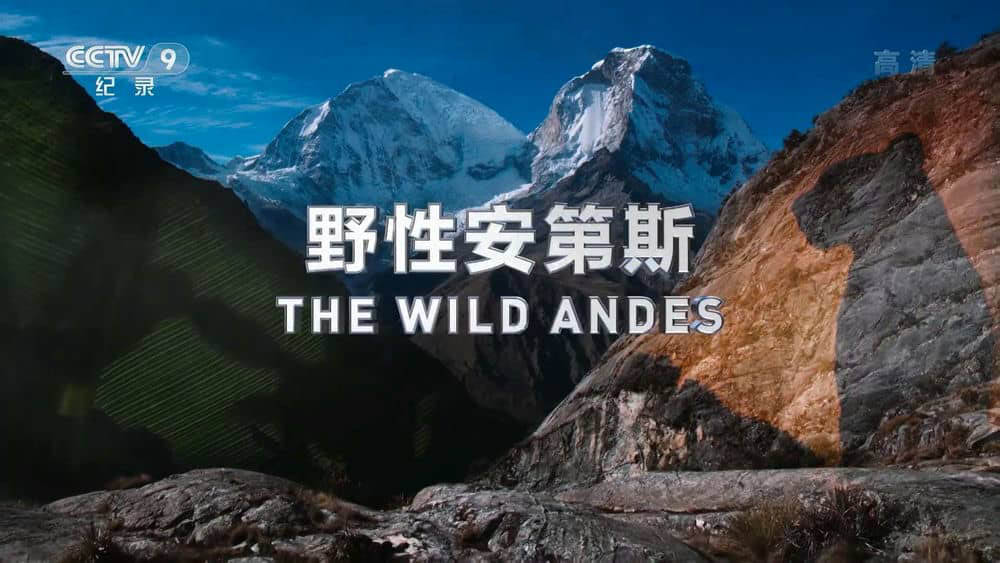 央视译制纪录片《野性安第斯 The Wild Andes》[全3集][中字][1080P][网盘][资源下载]