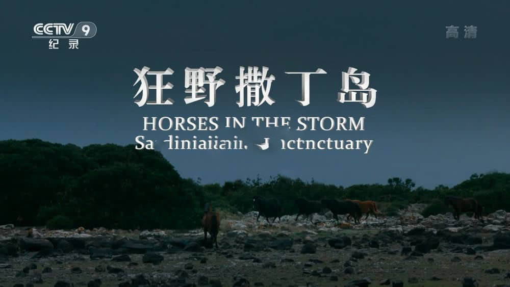 央视译制纪录片《狂野撒丁岛 Horses in the Storm - Sardinia's Rocky Sanctuary》[全1集][中字][1080P][网盘][资源下载]