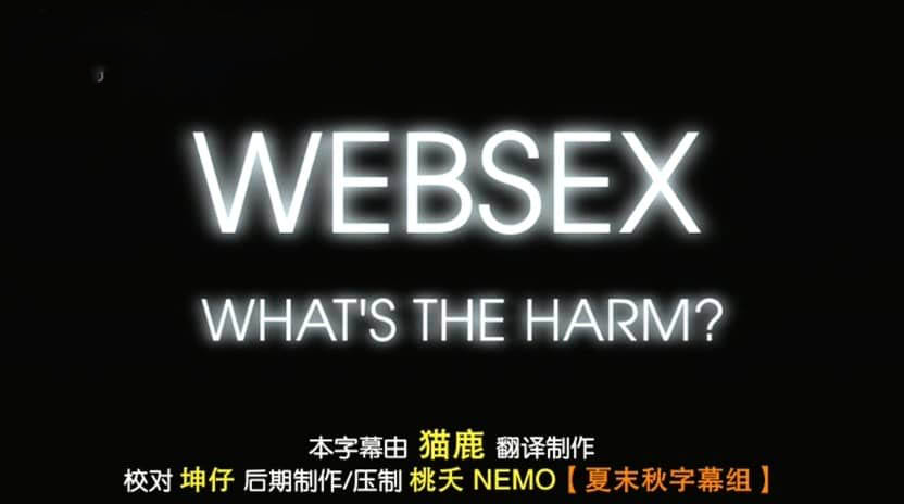 BBC纪录片《网络色情之害 Websex:What's the Harm? 2012》[全1集][中英双字][DVD画质][网盘][资源下载]