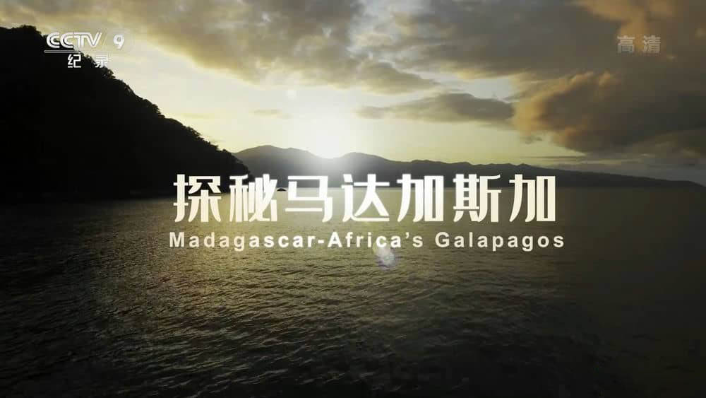 央视译制纪录片《探秘马达加斯加 Madagascar:Africa's Galapagos》[全1集][中字][1080P][网盘][资源下载]