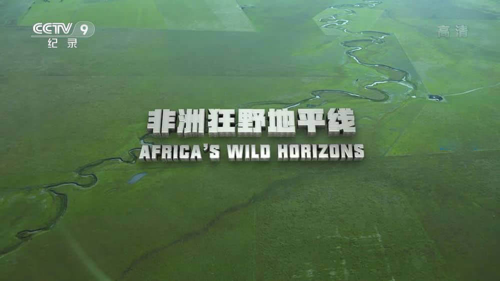 央视译制纪录片《非洲狂野地平线 Africa's Wild Horizons》[全6集][中字][1080P][网盘][资源下载]