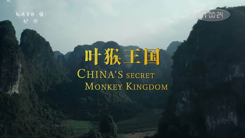 央视纪录片《叶猴王国 China's Secret Monkey Kingdom》[全1集][中字][1080P][网盘][资源下载]