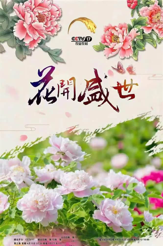 央视纪录片《花开盛世 2022》[全3集][中字][1080P][网盘][资源下载]