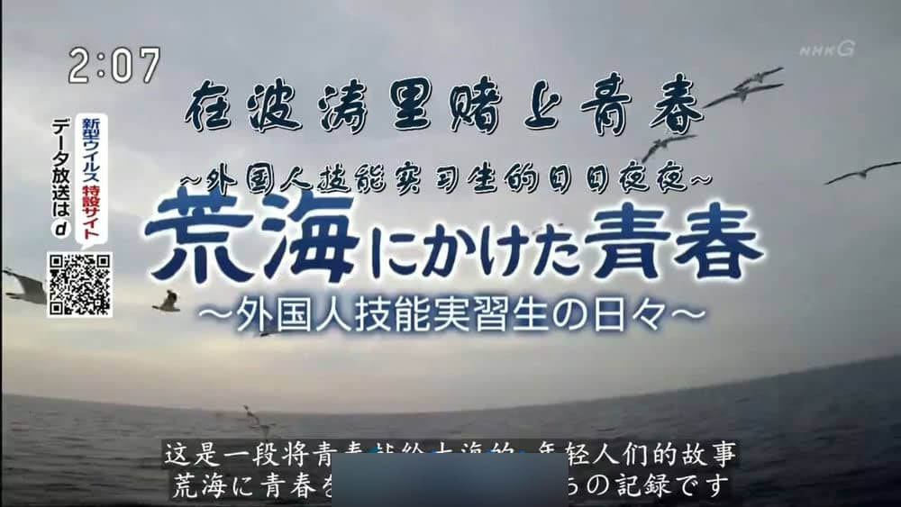 NHK纪录片《在波涛里赌上青春~外国人技能实习生的日日夜夜~ 2020》[全1集][中字][720P][网盘][资源下载]