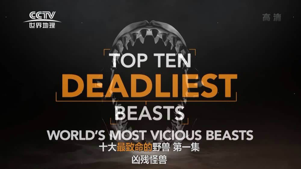 SMIT纪录片《十大致命的捕食者 Top Ten Deadliest Beasts》[全2集][中字][1080P][网盘][资源下载]