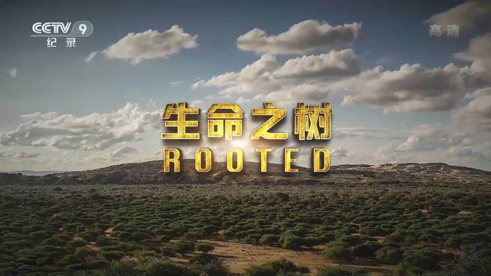 央视译制纪录片《生命之树 Rooted》[全5集][中字][1080P][网盘][资源下载]