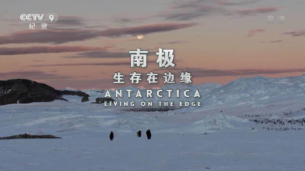 央视译制纪录片《南极：生存在边缘 Antarctica：Living on the Edge》[全1集][中字][1080P][网盘][资源下载]