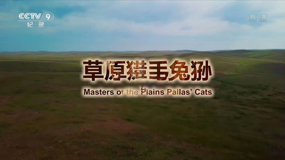 央视译制纪录片《草原猎手 兔狲 Masters of the Plains:Pallas' Cats》[全1集][中字][1080P][网盘][资源下载]