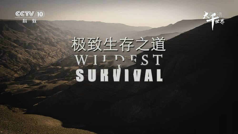 央视译制纪录片《极致生存之道 Wildest Survival》[第二季全10集][中字][1080P][网盘][资源下载]