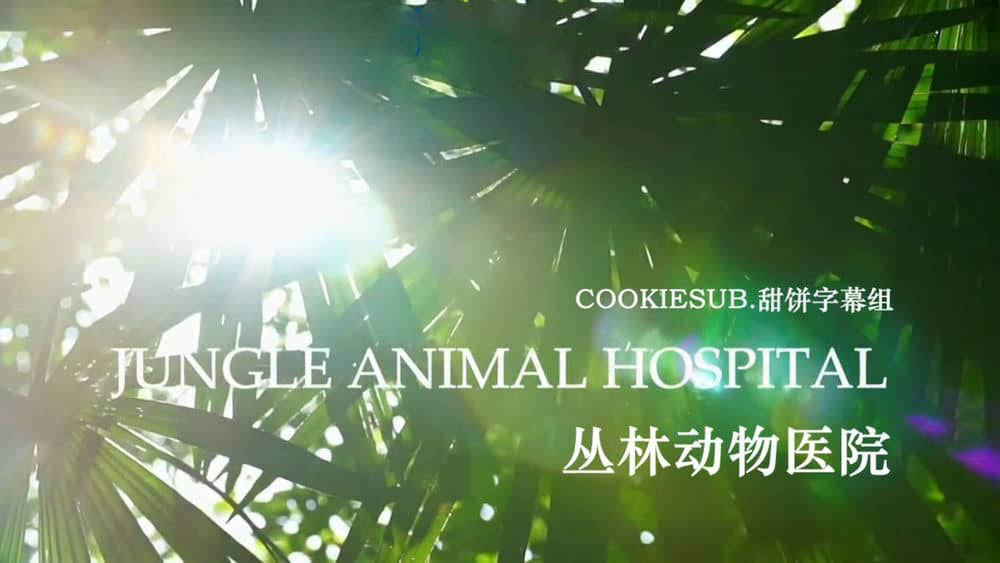 BBC纪录片《自然世界：丛林动物医院 Natural World:Jungle Animal Hospital 2016》[全1集][中英双字][720P][网盘][资源下载]