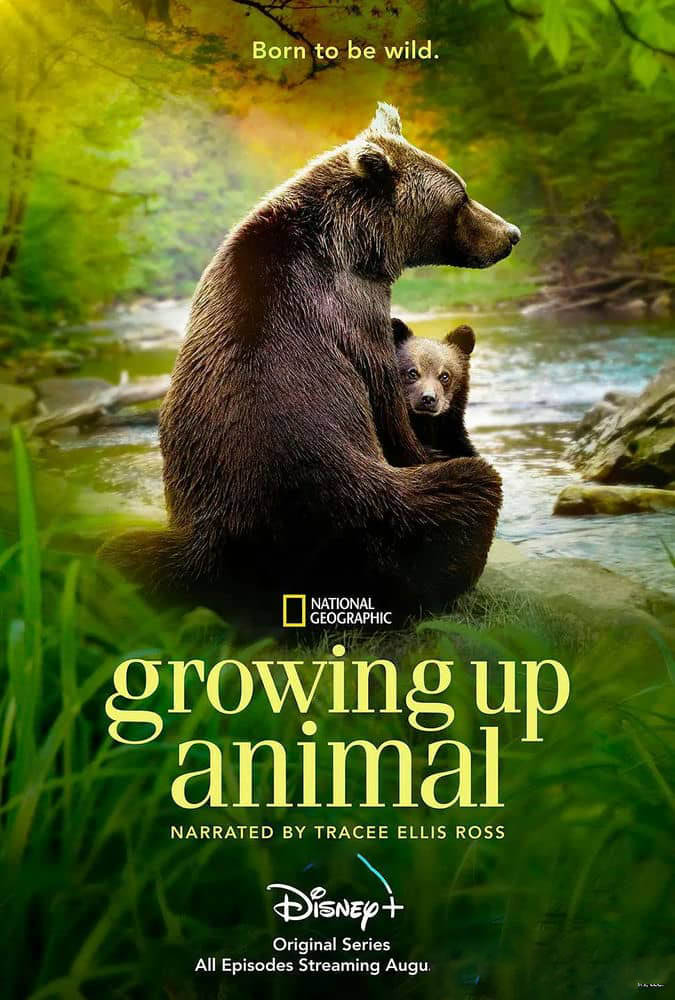 Disney+/国家地理纪录片《动物成长 Growing Up Animal 2021》[全6集][中字][4K][网盘][资源下载]