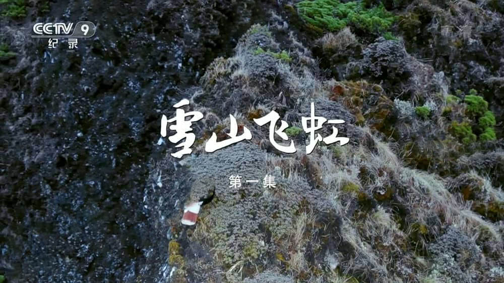 央视纪录片《雪山飞虹 2021》[全5集][中字][1080P][网盘][资源下载]