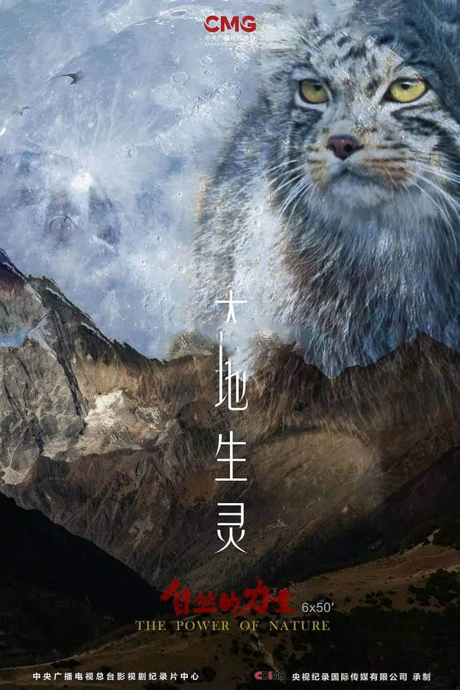 央视纪录片《自然的力量·大地生灵 2022》[全6集][中字][1080P][网盘][资源下载]