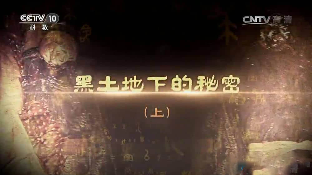 央视纪录片《黑土地下的秘密》[全3集][中字][1080P][网盘][资源下载]