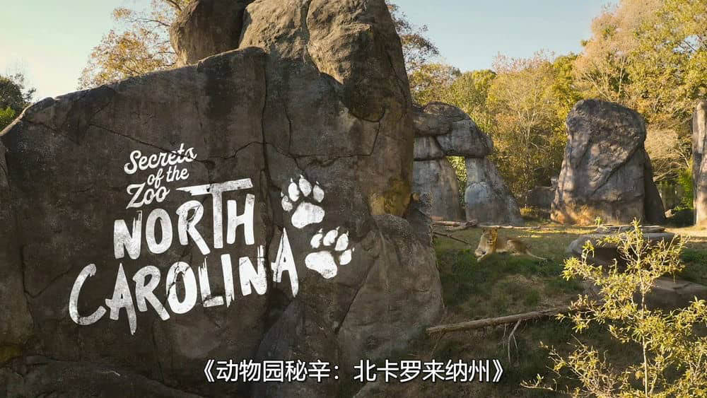 国家地理纪录片《动物园秘辛：北卡罗来纳 Secrets of the Zoo:North Carolina 2020》[全8集][中字][1080P][网盘][资源下载]