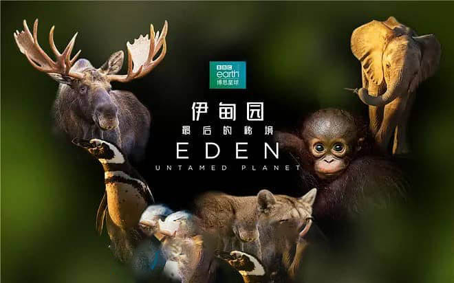 BBC纪录片《伊甸园：最后的秘境 Eden:Untamed Planet 2021》[全6集][中英双字][4K][网盘][资源下载]