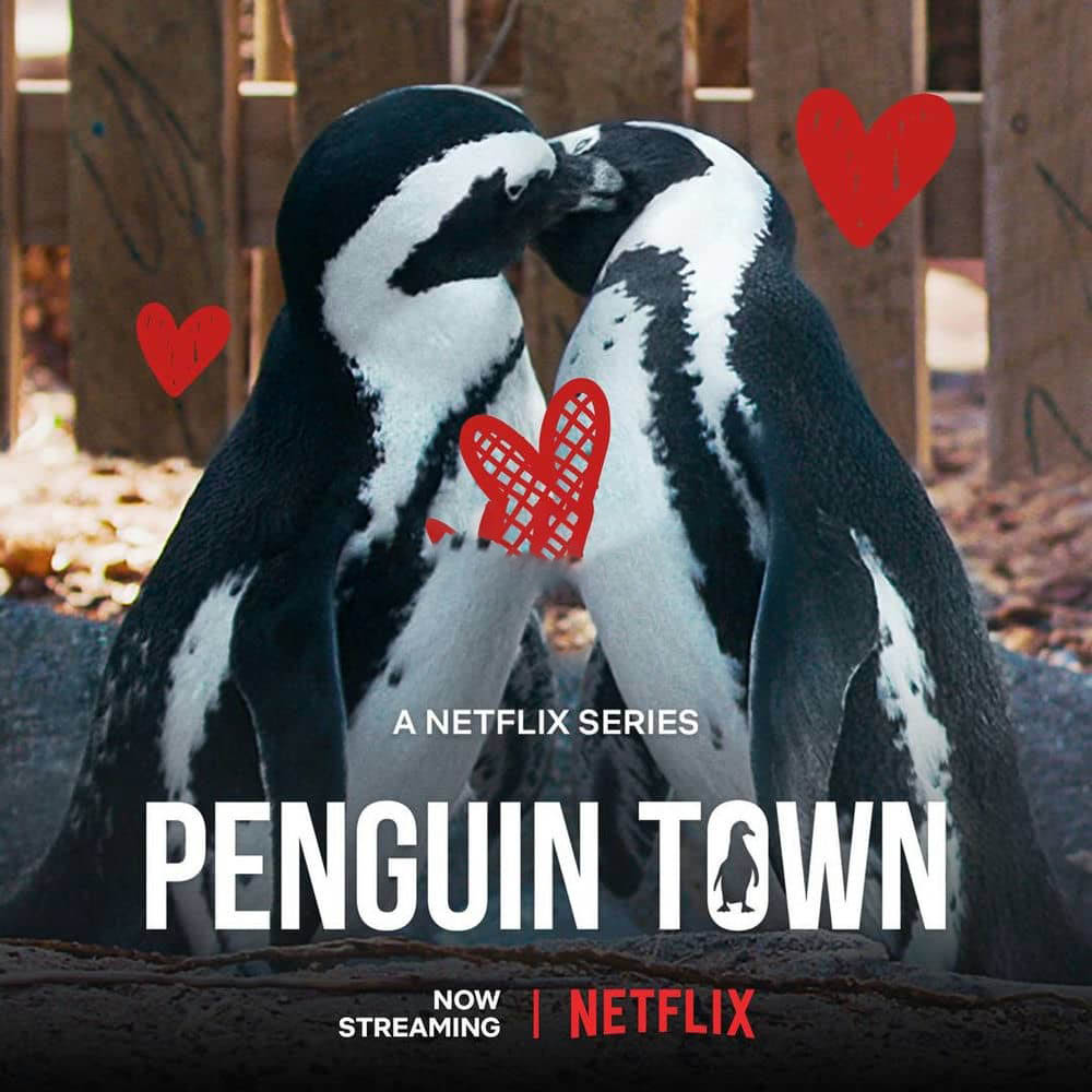 Netflix纪录片《企鹅小镇 Penguin Town 2021》[全8集][中字][1080P][网盘][资源下载]