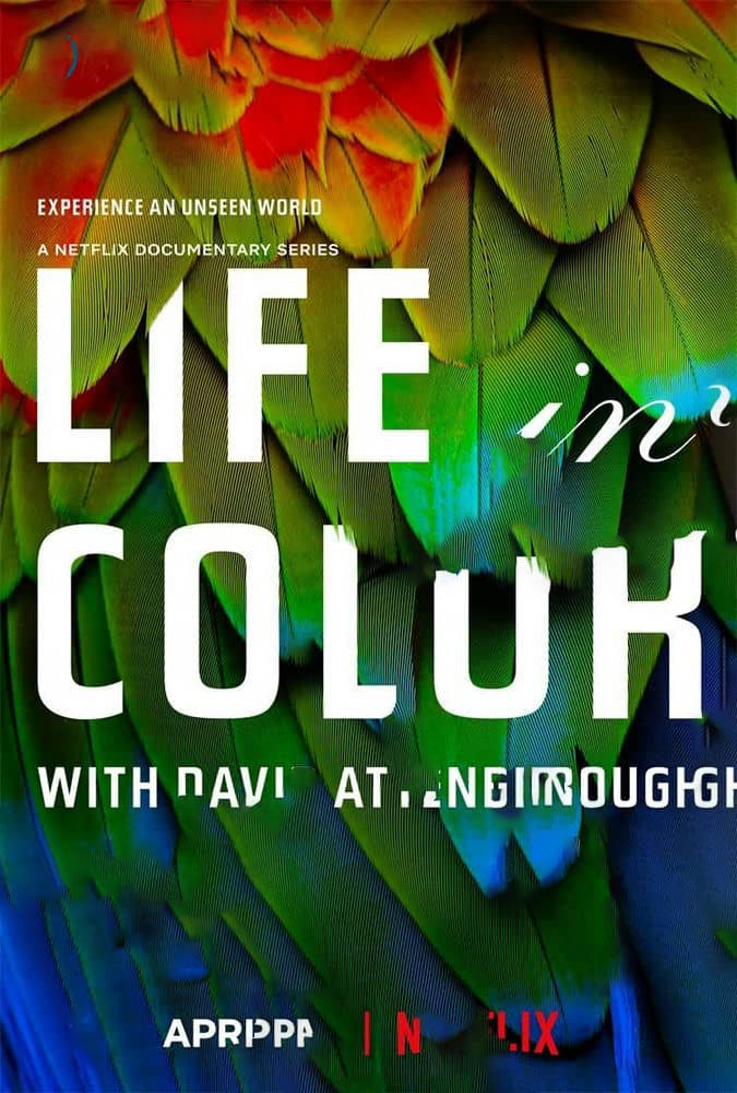 Netflix纪录片《生命之色 自然本色 Life In Colour With David Attenborough2021》[全3集][中字][4K][1080P][网盘][资源下载]