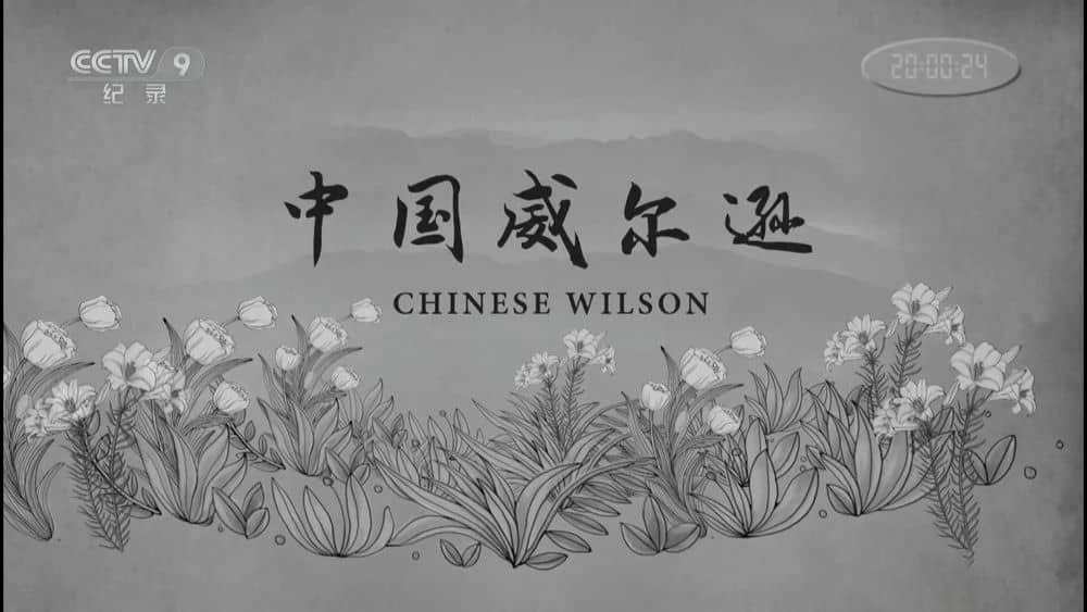 央视纪录片《中国威尔逊》[全3集][中字][1080P][网盘][资源下载]