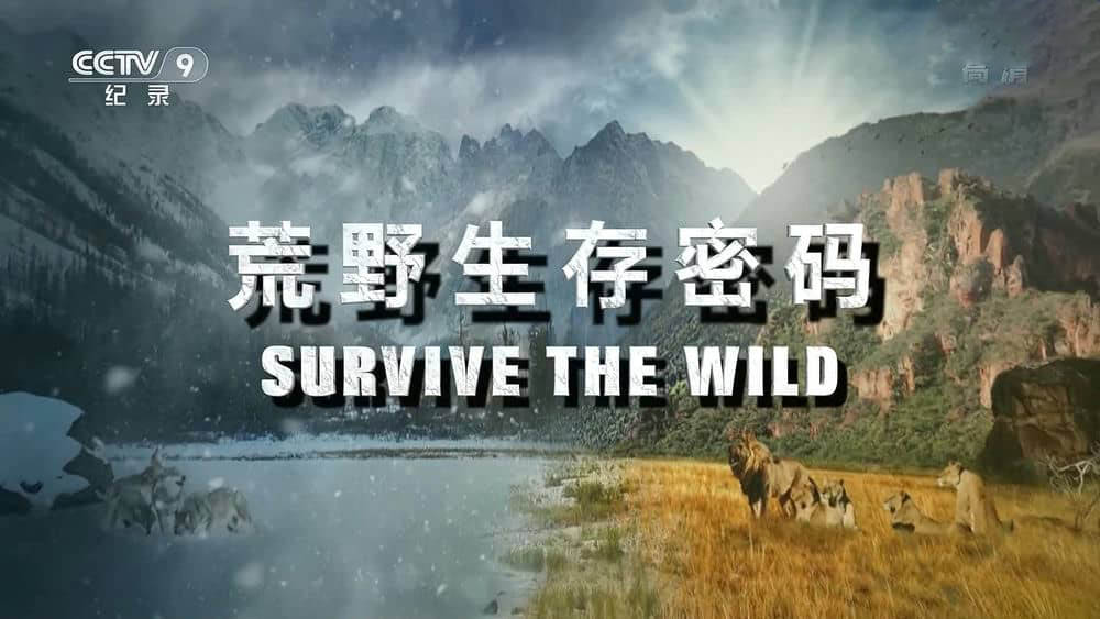 央视译制纪录片《荒野生存密码 Survive the Wild》[全6集][中字][1080P][网盘][资源下载]