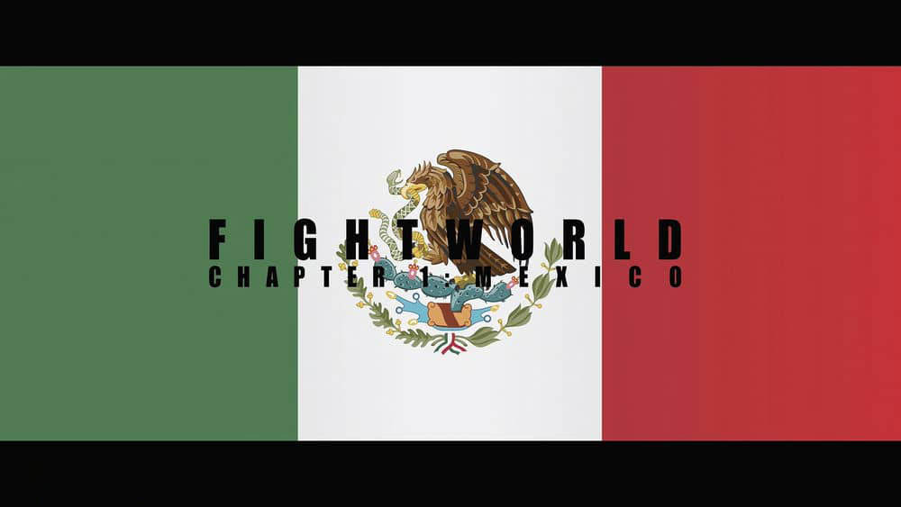 Netflix纪录片《拳击世界 Fightworld 2018》[全5集][无字幕][外挂字幕][1080P][网盘][资源下载]