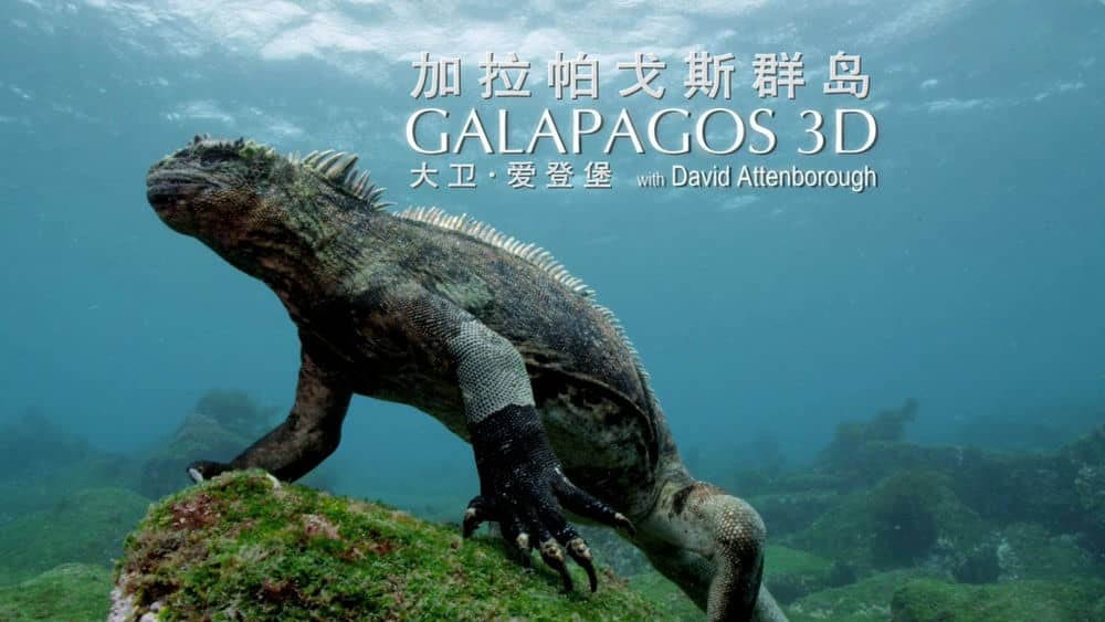 BSkyB纪录片《加拉帕戈斯 3D Galapagos With David Attenborough 2013》[全3集][无字幕][外挂字幕][1080P][网盘][资源下载]