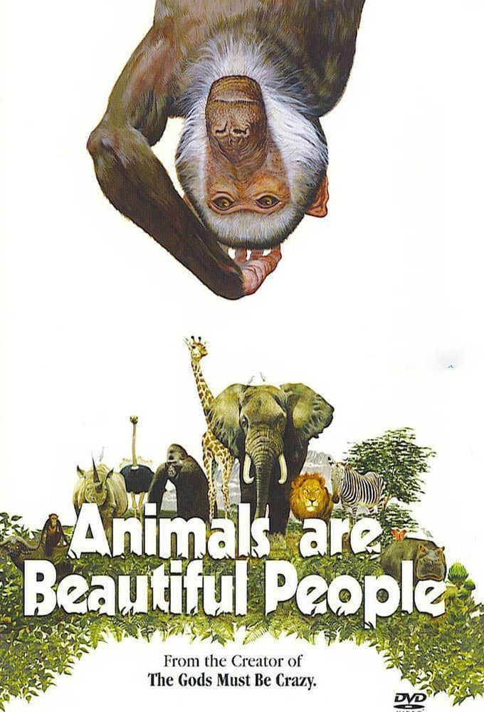 纪录电影《可爱的动物 Animals Are Beautiful People 1974》[中字][720P][网盘][资源下载]