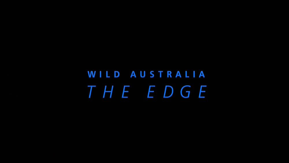 IMAX纪录片《狂野澳洲：边缘 Wild Australia:The Edge 1996》[全1集][中字][1080P][网盘][资源下载]