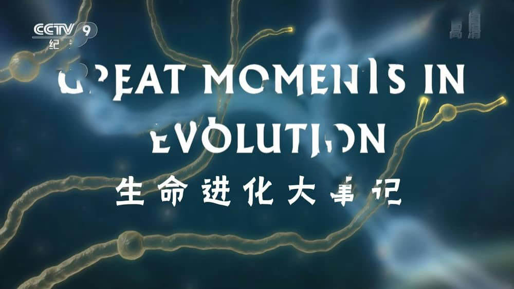 央视译制纪录片《生命进化大事记 Great Moments In Evolution》[全2集][中字][1080P][网盘][资源下载]