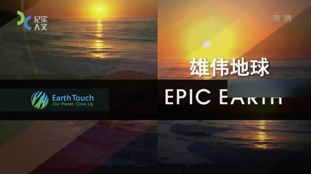 上海纪实频道纪录片《雄伟地球 Epic Earth》[全6集][中字][DVD画质][网盘][资源下载]