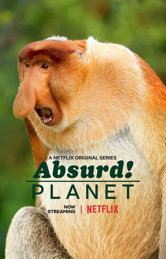 Netflix纪录片《怪诞星球 Absurd Planet 2020》[全12集][中字][1080P][720P][网盘][资源下载]