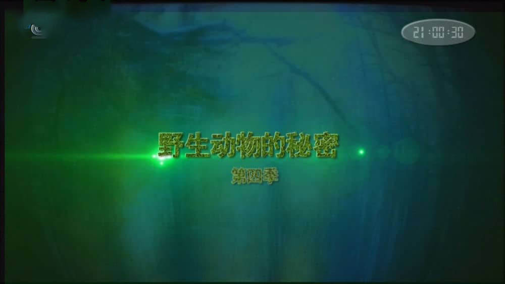 央视译制纪录片《野生动物的秘密 Wild Secrets》[全4季 共52集][中字][720P][网盘][资源下载]