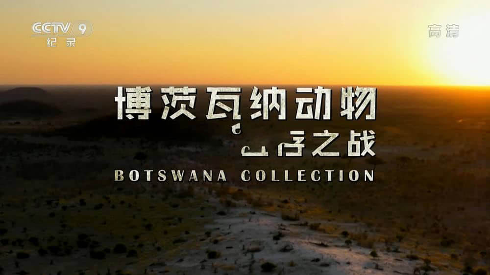 央视译制纪录片《博茨瓦纳动物生存之战 Botswana Collection》[全3集][中字][1080P][网盘][资源下载]