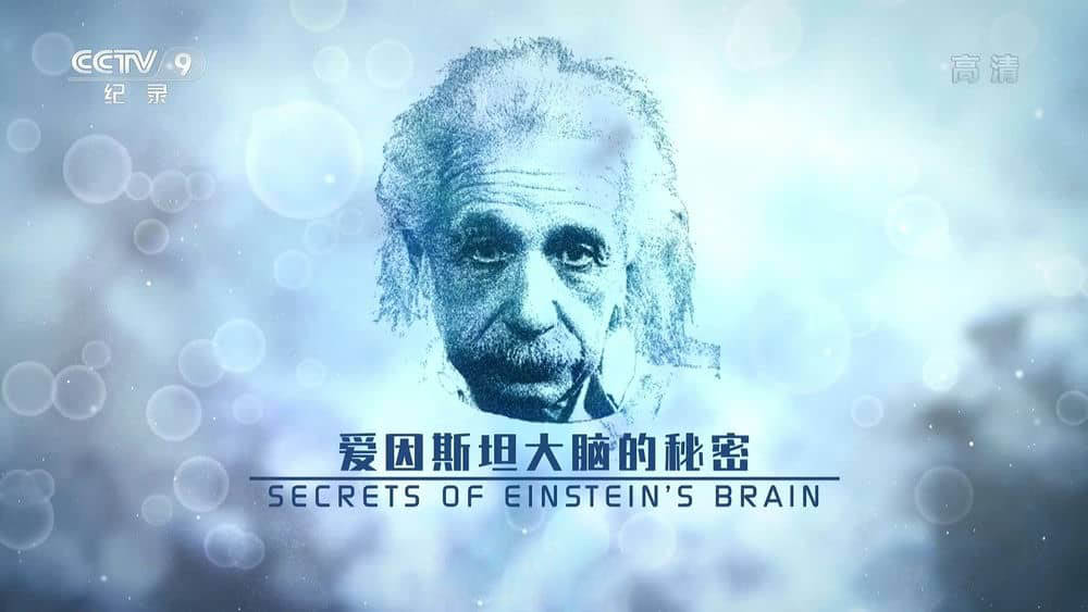 央视译制纪录电影《爱因斯坦大脑的秘密 Secrets of Einstein's Brain 2019》[中字][1080P][网盘][资源下载]