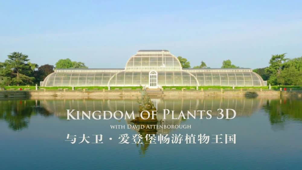 BSkyB纪录片《植物王国 Kingdom of Plants 3D 2012》[全3集]+幕后花絮[中英双字][1080P][网盘][资源下载]