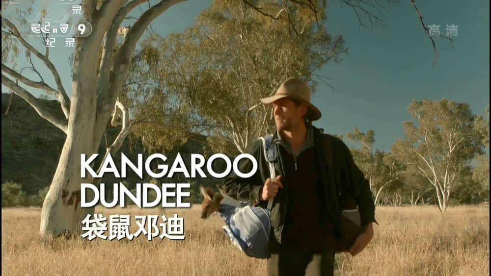 央视译制纪录片《袋鼠邓迪 Kangaroo Dundee》[全2集][中字][1080P][网盘][资源下载]