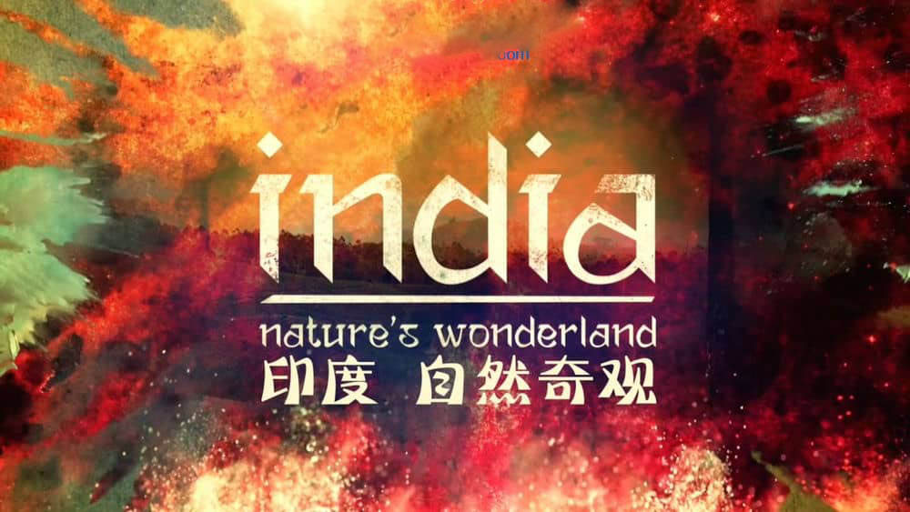 BBC纪录片《印度：大自然的仙境 India:Nature’s Wonderland 2015》[全2集][中英双字][720P][网盘][资源下载]