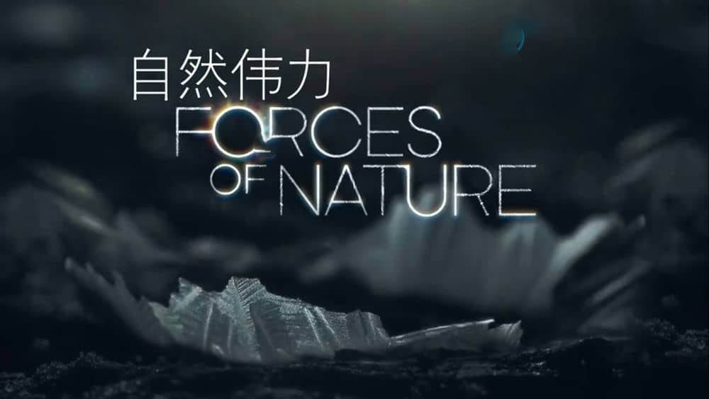 BBC纪录片《自然的力量 自然伟力 Forces of Nature with Brian Cox 2016》[全4集][中英双字][720P][网盘][资源下载]