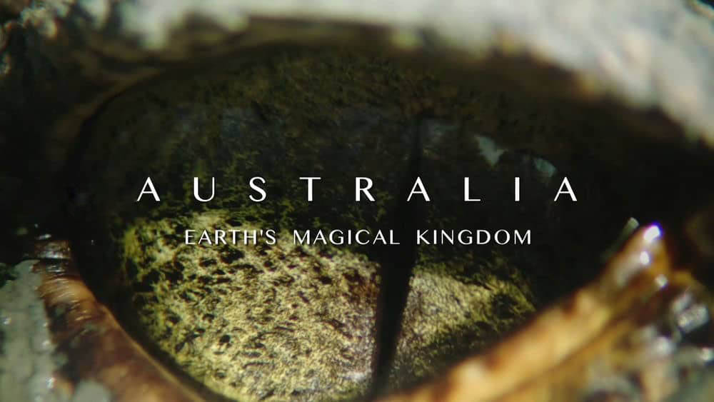 BBC纪录片《绿野仙澳 Australia:Earth's Magical Kingdom 2019》[全3集][中英双字][1080P][网盘][资源下载]