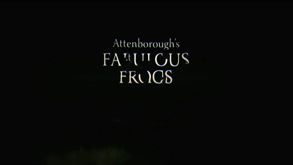 BBC纪录片《自然世界：爱登保罗爷爷带你看绝妙的蛙 Natural World:Attenborough's Fabulous Frogs 2014》[全1集][无字幕][外挂字幕][1080P][网盘][资源下载]