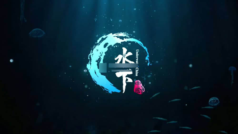 纪录片《水下中国 Underwater China 2019》[全6集][中字][4K][1080P][网盘][资源下载]