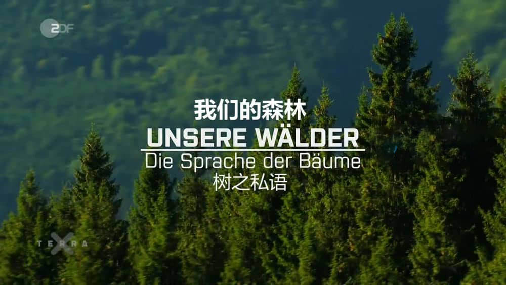 德国纪录片《我们的森林 Unsere Wälder 2017》[全3集][中字][720P][网盘][资源下载]