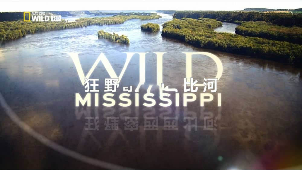 国家地理纪录片《野性密西西比 Wild Mississippi 2012》[全3集][国英双轨][无字幕][外挂字幕][1080P][720P][网盘][资源下载]