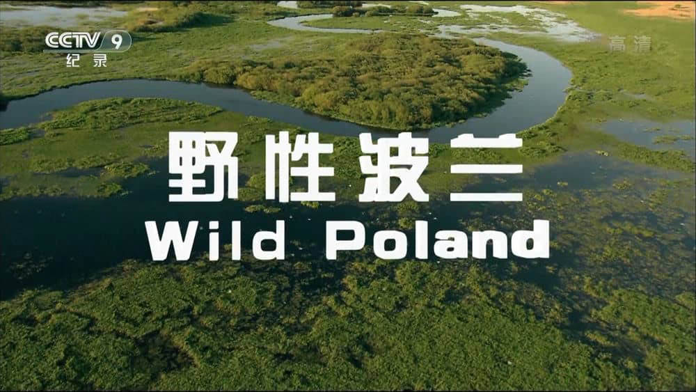 央视译制纪录片《野性波兰 Wildes Polen》[全1集][中字][1080P][网盘][资源下载]